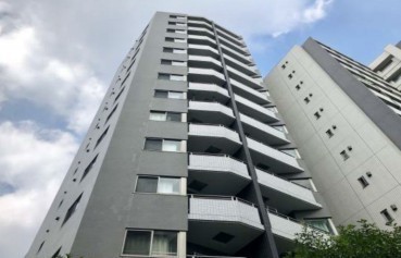 外観: