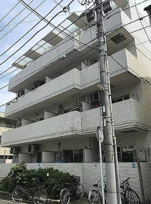 外観: