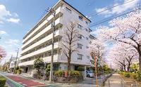 ミニカムマンション