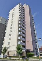 コンフォート銀座